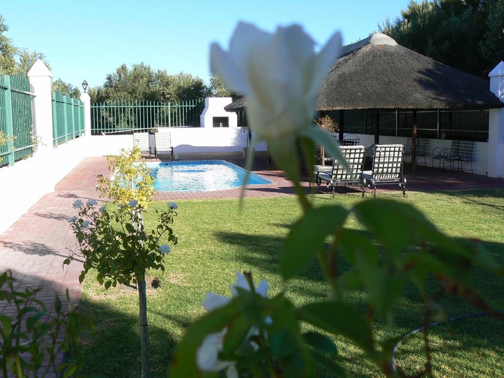 Villa Olive Grove Guest Farm Beaufort West Zimmer foto